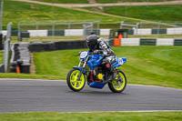 Middle Group Blue Bikes